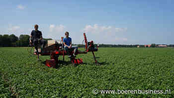 Veldkeuring NAK: meer verlaging door bacterieziek