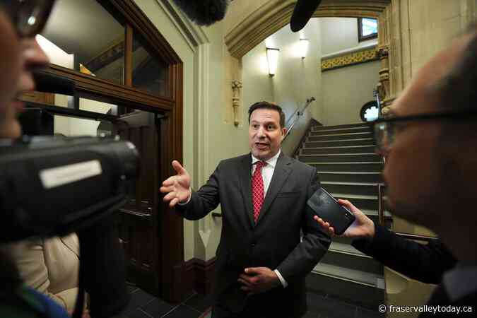 Former safety minister wants ‘protective zones’ for MPs’ offices as threats increase