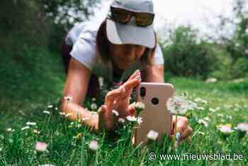 Natuurpuntwandeling in De Reukens: Leer alles over de Aartselaarse fauna en flora met soortenherkenningsapp ObsIdentify