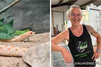 Overvol opvangcentrum zoekt nieuwe thuis voor reptielen, maar je krijgt die niet zomaar mee: “Je moet weten waar je aan begint”
