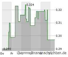 Meridian Mining: Great Upside Potential for the Projects and Share Price