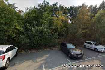 Vlamingen getuigen over parkingseks: “Ik sprak al met velen later af bij mij thuis. Het zijn vaak heteromannen in een seksloos huwelijk”