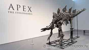 Hedgefondsmilliardär Ken Griffin kauft Dinosaurierskelett