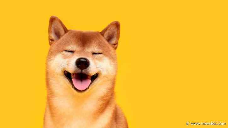Dogecoin Big Rally Ahead: Analyst Sees ‘Most Beautiful’ Chart Pattern