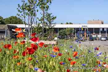 Proeftuin is voorsmaakje van ruimere ontharding in centrum van Geel