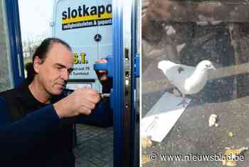 Slotenmaker redt duif, politie stelt proces-verbaal op: “Ik zal hier wel gratie voor krijgen, zeker?”