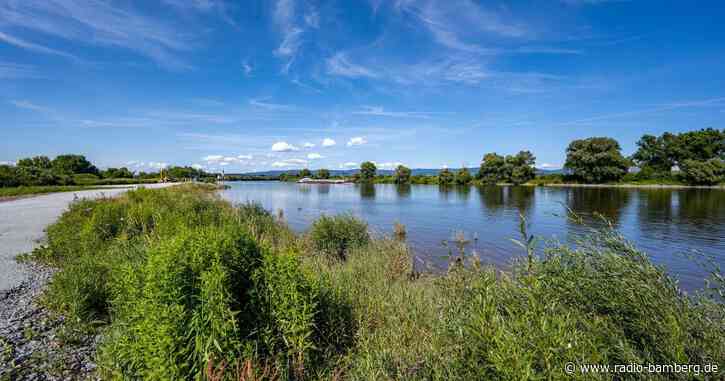 Arbeiter entdecken Menschenknochen in der Donau