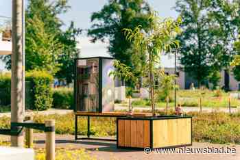 Mysterieuze kabouter laat weer van zich horen met nieuwe ruilbibliotheek