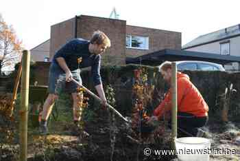Aanleg van voortuinen en geveltuinen wordt gesubsidieerd