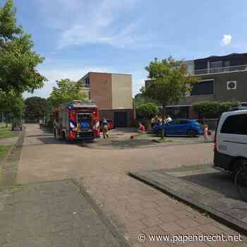 Kortsluiting zorgt voor brandmelding Kastanjelaan