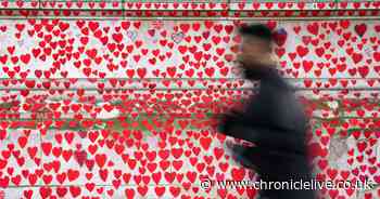 'Serious errors' that 'can't be allowed to happen again' - Covid report says Government failed us