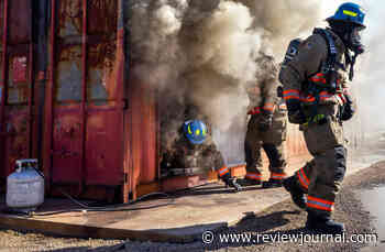 How to protect your pets in the event of a fire