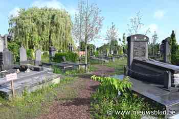 IN BEELD. Oude begraafplaats weer toegankelijk, maar omvorming tot groen park is nog volop bezig: “Pas over vijf of zelfs tien jaar zal alles echt tot zijn recht komen”