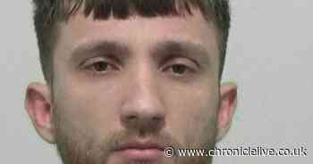 Attacked cannabis farmer caught after ending up on roof of neighbour's conservatory in Sunderland