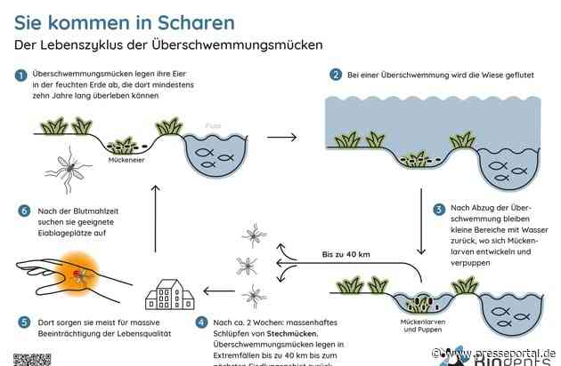Nachhaltige Hilfe für Biergärten und Co. / Die Mücken kommen, die Gäste gehen