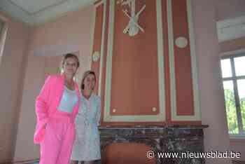 Nu nog een werf, maar straks huisvest gerenoveerd kasteel opnieuw bibliotheek: “Ossenbloedrood aan de muren vind ik prachtig”