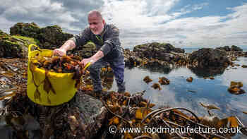 Scottish seaweed processor raises £595k