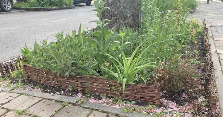 Hilfe für Pestizidopfer