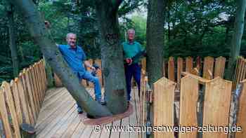Ferientipp: Auf Entdeckertour im Zweidorfer Holz