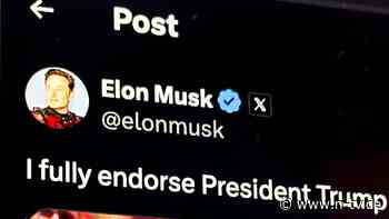 Spenden sind eine "Giga-Wette": Verprellt Musk mit seiner Trump-Nähe potenzielle Tesla-Käufer?