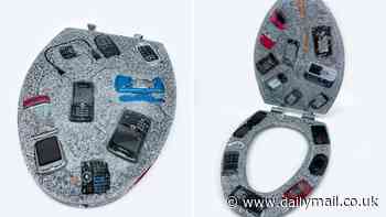You're taking the p***! Bizarre toilet seat embedded with retro smartphones goes on sale for £976 - so, would YOU buy it?