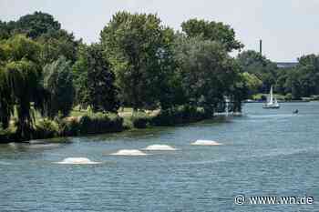 Aasee: Hohe Blaualgen-Konzentration zwingt Stadt Münster zum Handeln