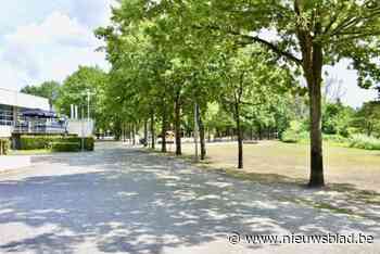Bornemse scholen organiseren zomerschool: “Drempel verlagen richting volgend schooljaar”