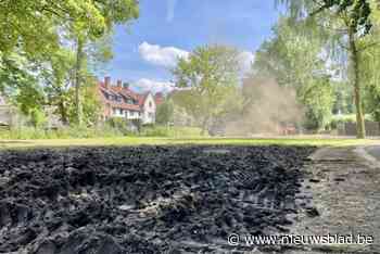 Groendienst meet grote schade Minnewaterpark op na afbraak Cactusfestival