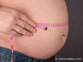 Promising New Obesity Treatment Shows No Side Effects in Initial Studies