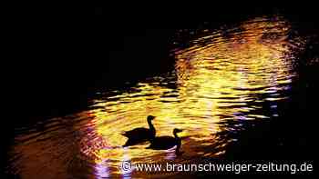 Lichtparcours: Nachts fotografieren lernen in Braunschweig