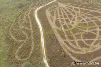 Mysterieuze kronkels duiken op in Nationaal Park Hoge Kempen: “Dit zijn geen wandelpaden”