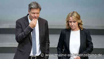 Die Grünen und der Klima-Betrug in Milliardenhöhe: „Kunden zahlten für Projekte, die es nicht gibt“