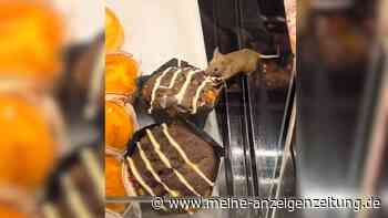 Kundin macht spezielle Entdeckung in der Rewe-Backabteilung – „War ja wieder klar“