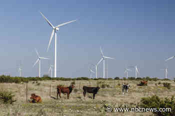 Bye-bye bitcoin, hello AI: Texas miners leave crypto for next new wave