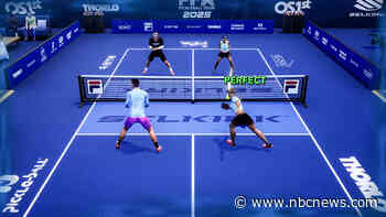 There's a pickleball video game now