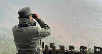 Trentino in Norditalien: Bär soll nach Attacke auf Tourist getötet werden
