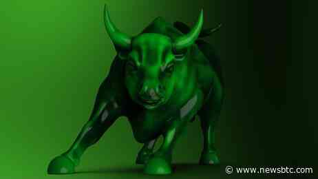 NEAR Surges 20%: Pantera Capital MP Reveals 5 Reasons For Bullish Outlook