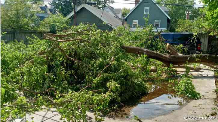 Tree damage, cable lines take days to clean up in North Buffalo community