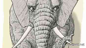 Den Elefanten in Scheiben schneiden: So meistern Sie den Return on Marketing Investment