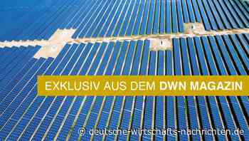 Solarstrom statt Ackerbau: Deutschlands Landwirtschaft im Umbruch
