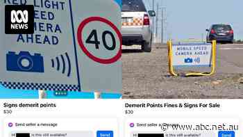 Crack down on drivers selling demerit points online after French man had 200 applied to licence