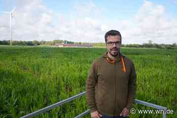 Maislabyrinth in Nienberge öffnet wieder: Irrwege auf 2,5 Hektar