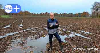 Sonnenbrand bei Äpfeln und zu nasse Böden: So behindert das Wetter die Ernte