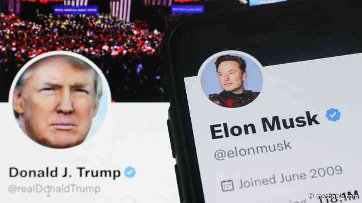 Elon Musk's X adds pro-Trump icons for Trump hashtags