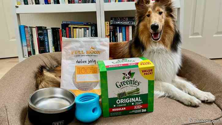 I'm a professional dog trainer, and I found the best Prime Day pet deals