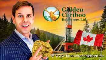 Neuentdeckung bei Golden Cariboo - Überall sichtbares Gold!