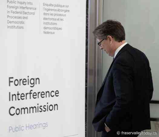 Elections Canada floats suggestions to shield nomination contests from meddling