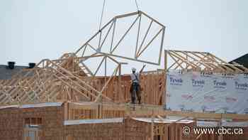 Thunder Bay city council to consider new housing grants as push for home building continues
