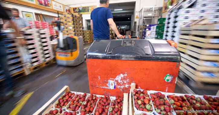 Erdbeer- und Spargelernte in Bayern fällt mau aus