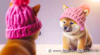 Dogwifhat explodiert über 56 %, während WienerAI 7-Millionen-Dollar-Marke überschreitet